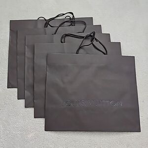 Louis Vuitton large paper shopping bag